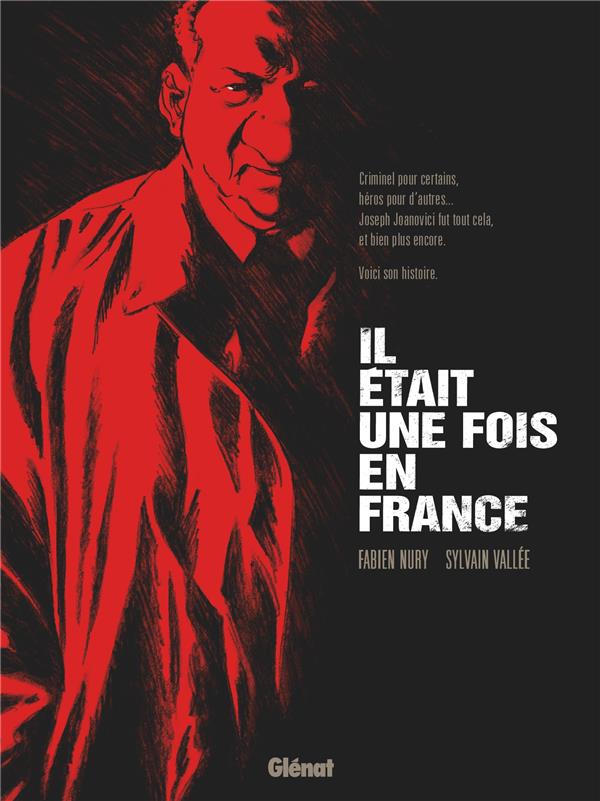 IL ETAIT UNE FOIS EN FRANCE - INTEGRALE ROMAN GRAPHIQUE - NURY/VALLEE - GLENAT IL ETAIT UNE FOIS EN FRANCE - INTEGRALE ROMAN GRAPHIQUE - NURY/VALLEE - GLENAT