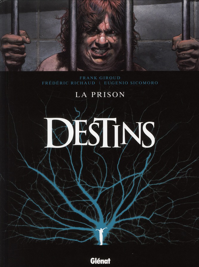 DESTINS - TOME 12 - LA PRISON - RICHAUD/GIROUD - Glénat