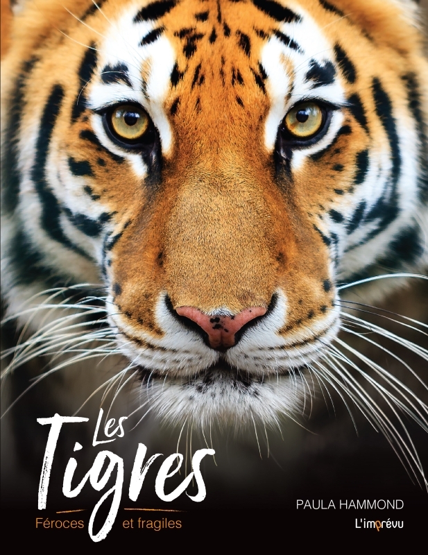 LES TIGRES - FEROCES ET FRAGILES - Paula Hammond - L IMPREVU LES TIGRES - FEROCES ET FRAGILES - Paula Hammond - L IMPREVU