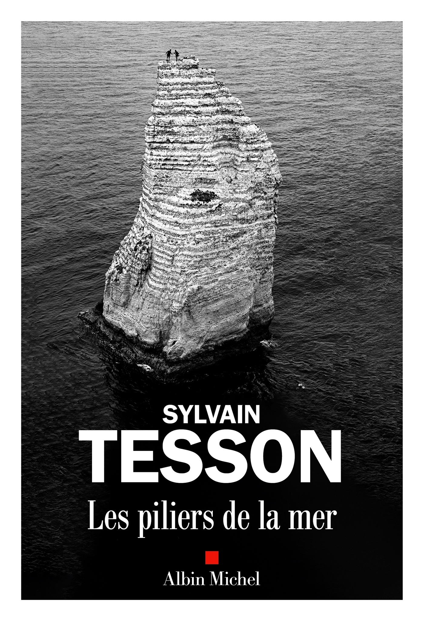 Les Piliers de la mer - Sylvain Tesson - ALBIN MICHEL