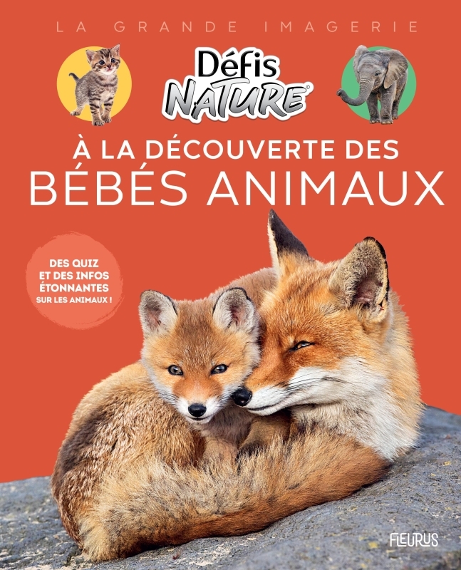 Les bébés animaux - Danièle Boone - FLEURUS