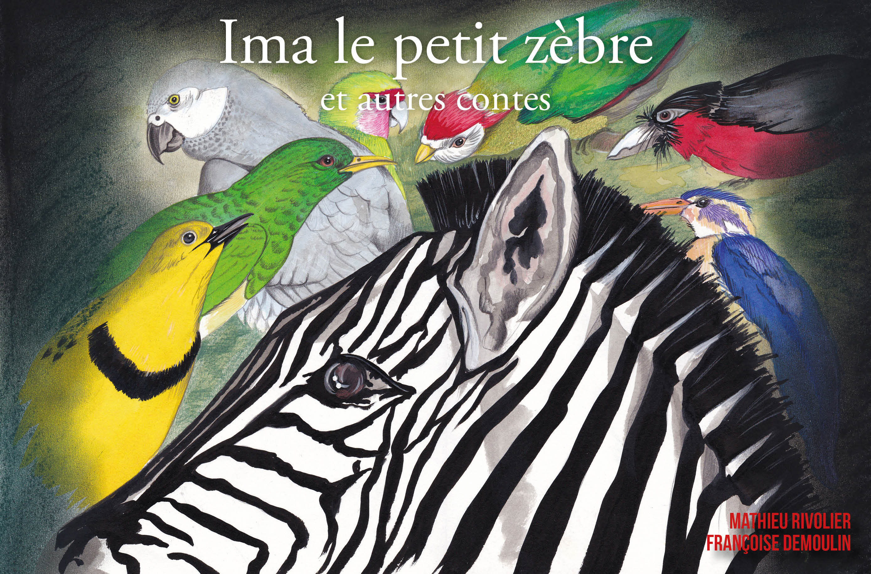 IMA le petit zèbre et autres contes - Mathieu RIVOLIER, Françoise DEMOULIN - PUBLISHROOM
