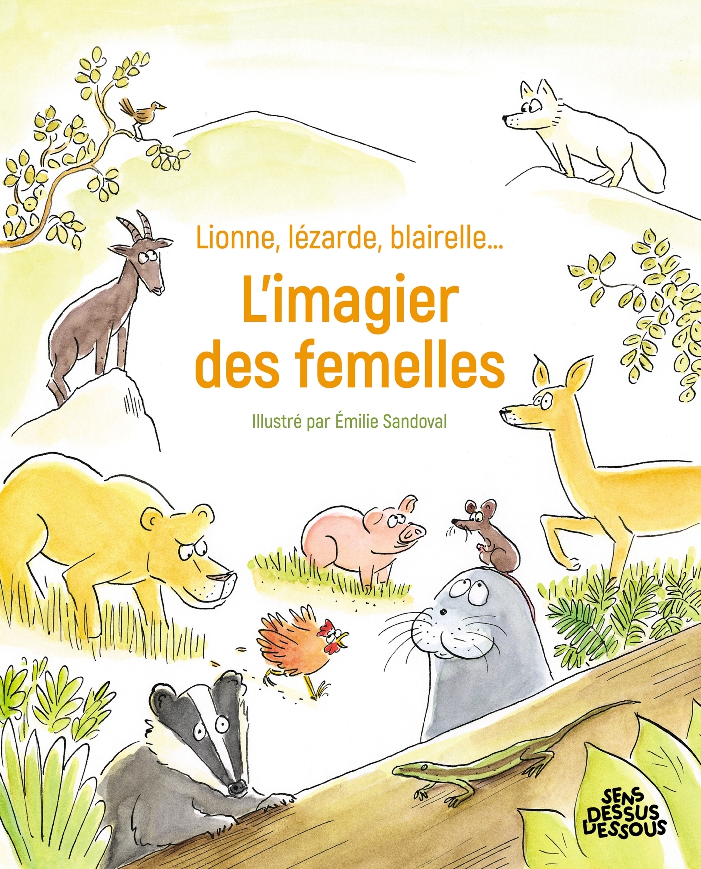 Lionne, lézarde, blairelle - L' imagier des femelles - - DESSUS DESSOUS Lionne, lézarde, blairelle - L' imagier des femelles - - DESSUS DESSOUS