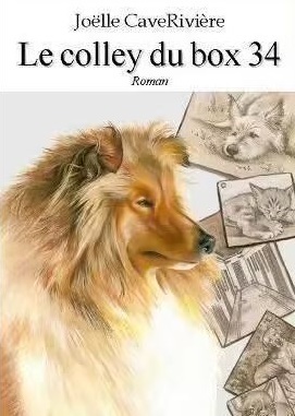Le colley du box 34 - Joëlle CaveRivière - LIVRE HISTOIRE