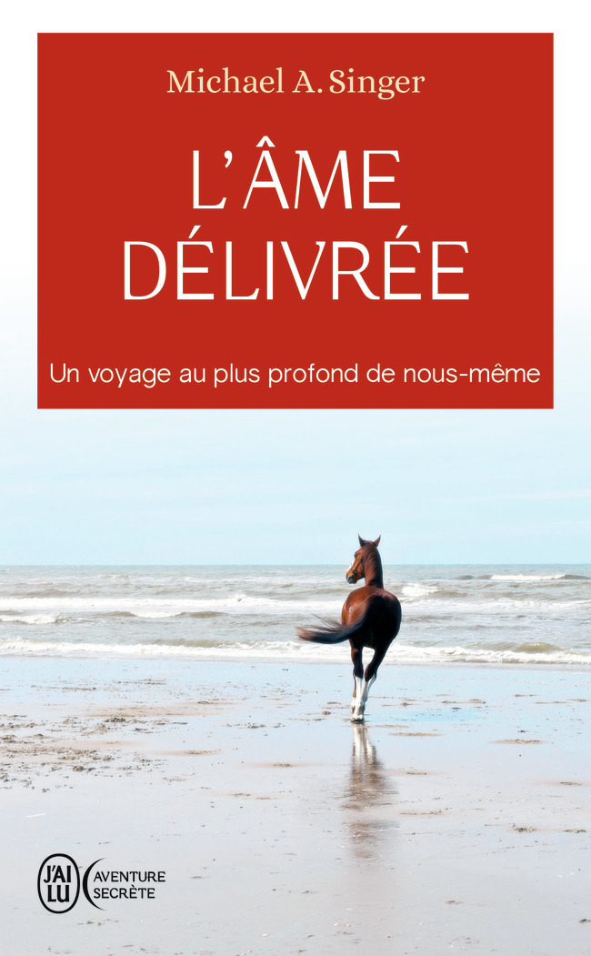 L'âme délivrée - Michael A. Singer, Christian Hallé - J'AI LU