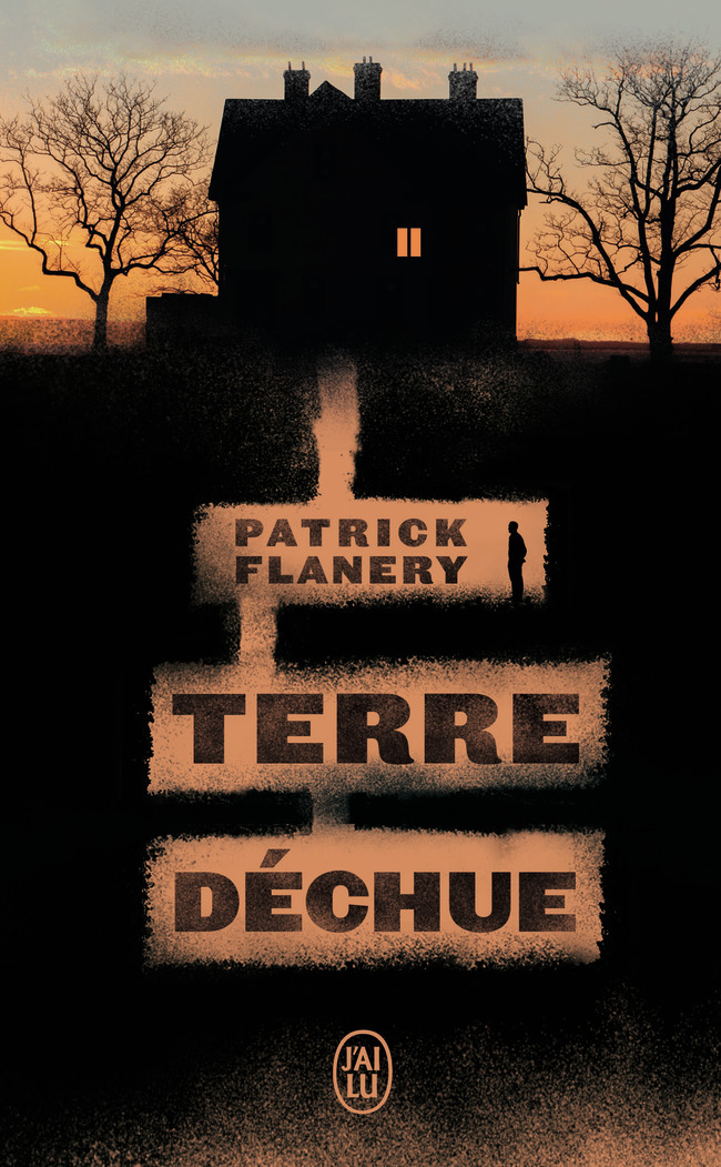 Terre déchue - Patrick Flanery, Isabelle D. Philippe - J'AI LU