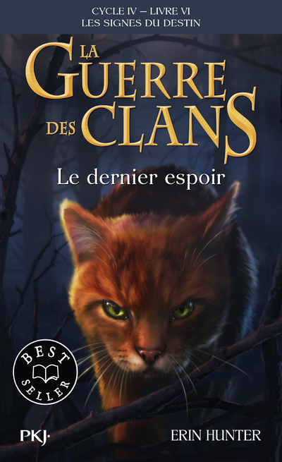La guerre des Clans, Cycle IV - Tome 6 Le dernier espoir - Erin Hunter, Aude Carlier - POCKET JEUNESSE