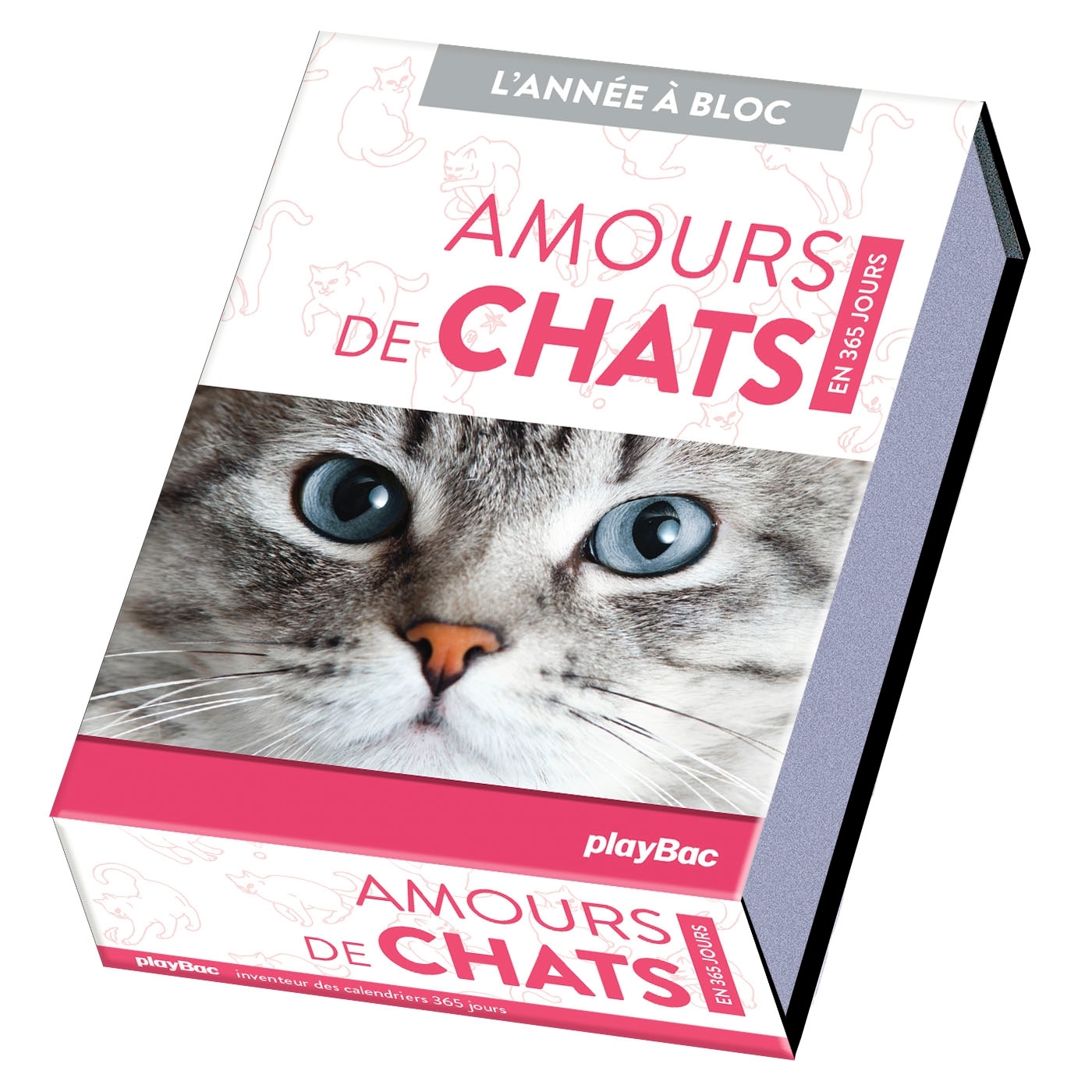 Calendrier Amours de chats en 365 jours - L'Année à bloc -   - PLAY BAC