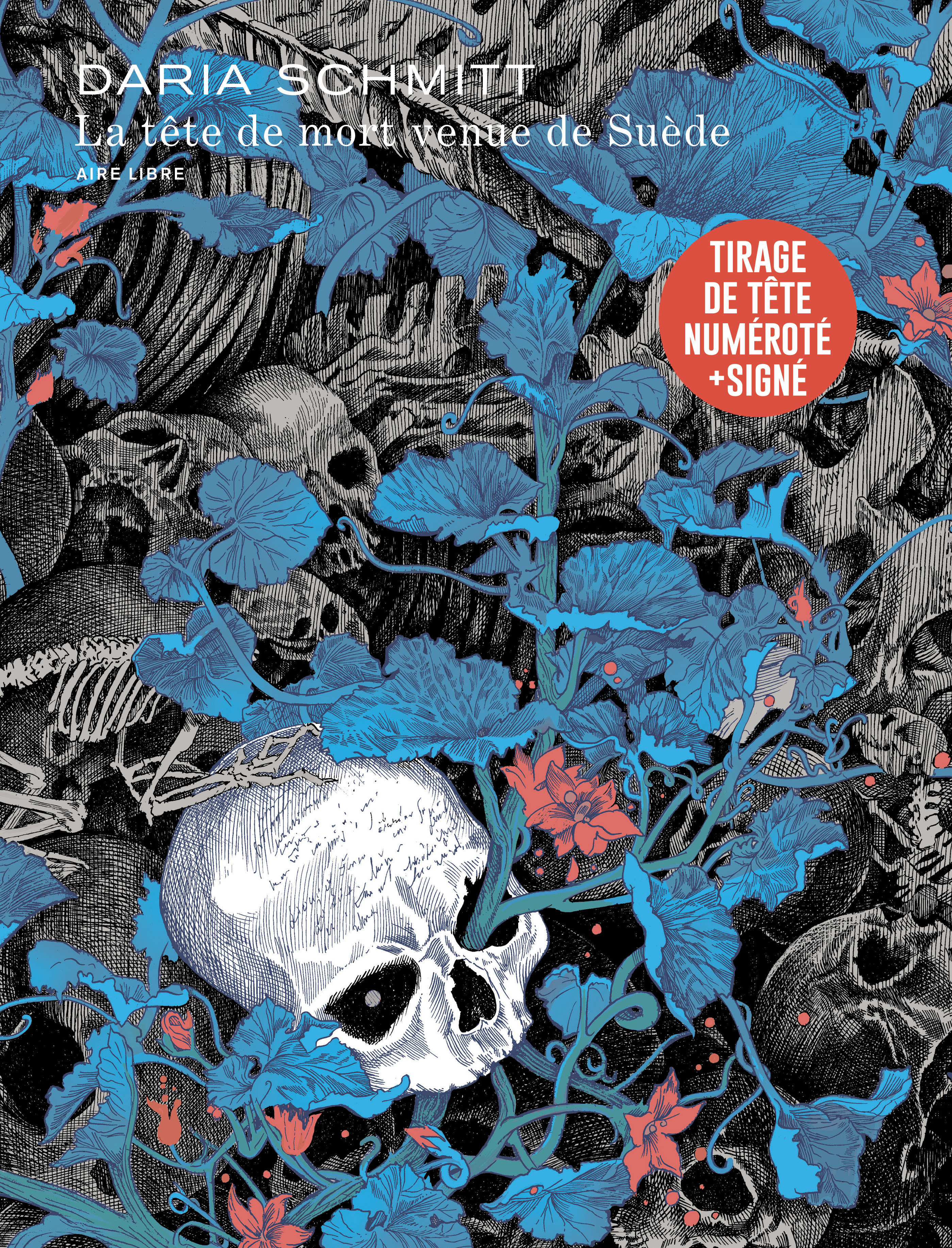 la tete de mort -  Daria Schmitt - DUPUIS