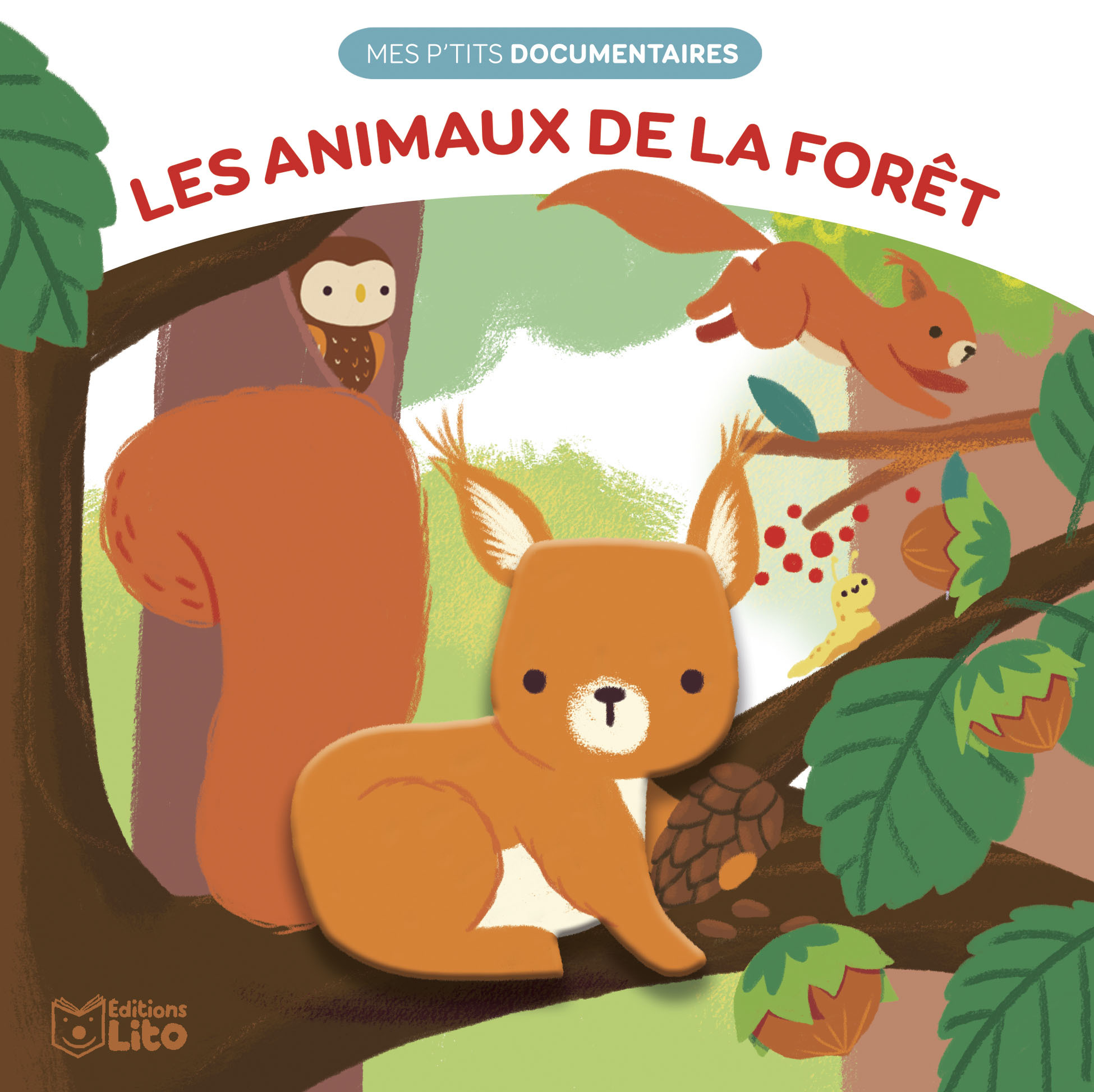 MES PETITS DOCS ANIMAUX FORET - XXX - LITO