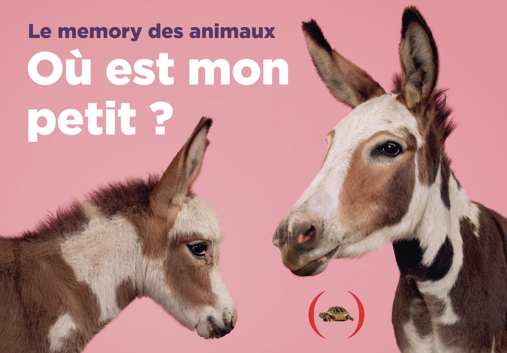 Où est mon petit ? Le memory des animaux -  GETHINGS GERRARD, Gethings Gerrard - GRANDES PERSONN