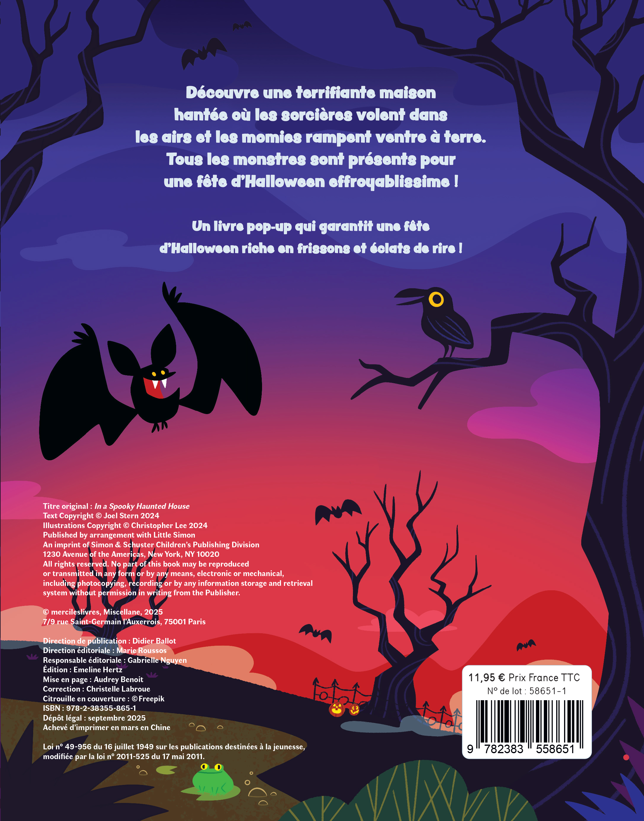 La Maison des frissons - Joel Stern - MERCILESLIVRES