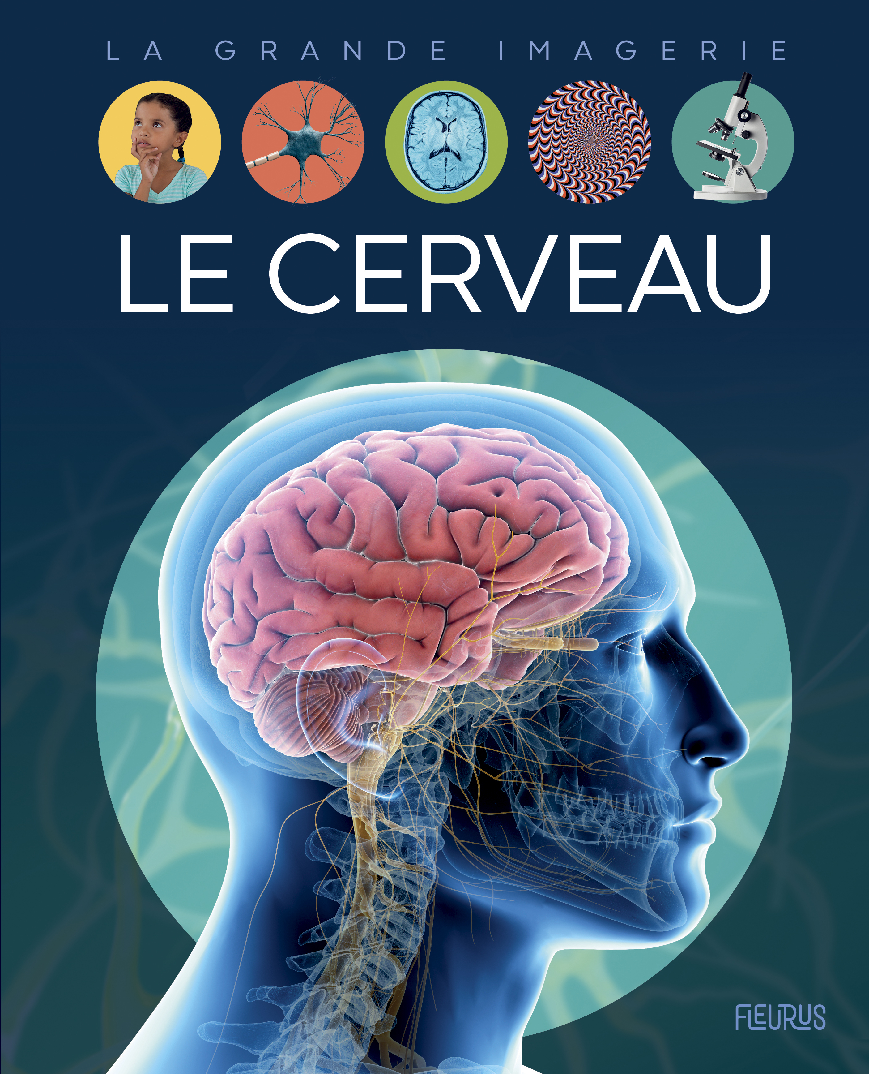 Le cerveau - Cathy Franco - FLEURUS
