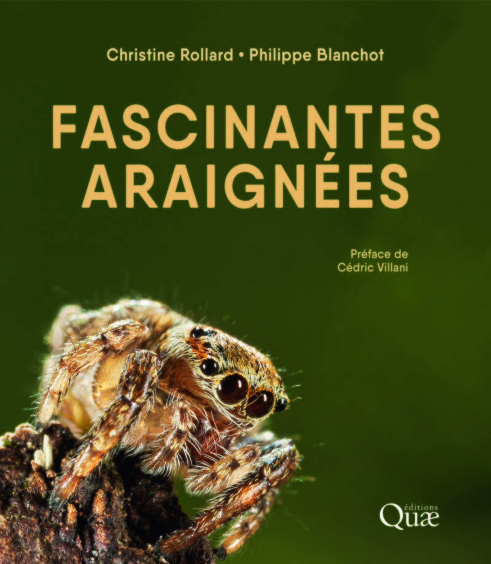 Fascinantes araignées - Philippe Blanchot, Christine Rollard - QUAE