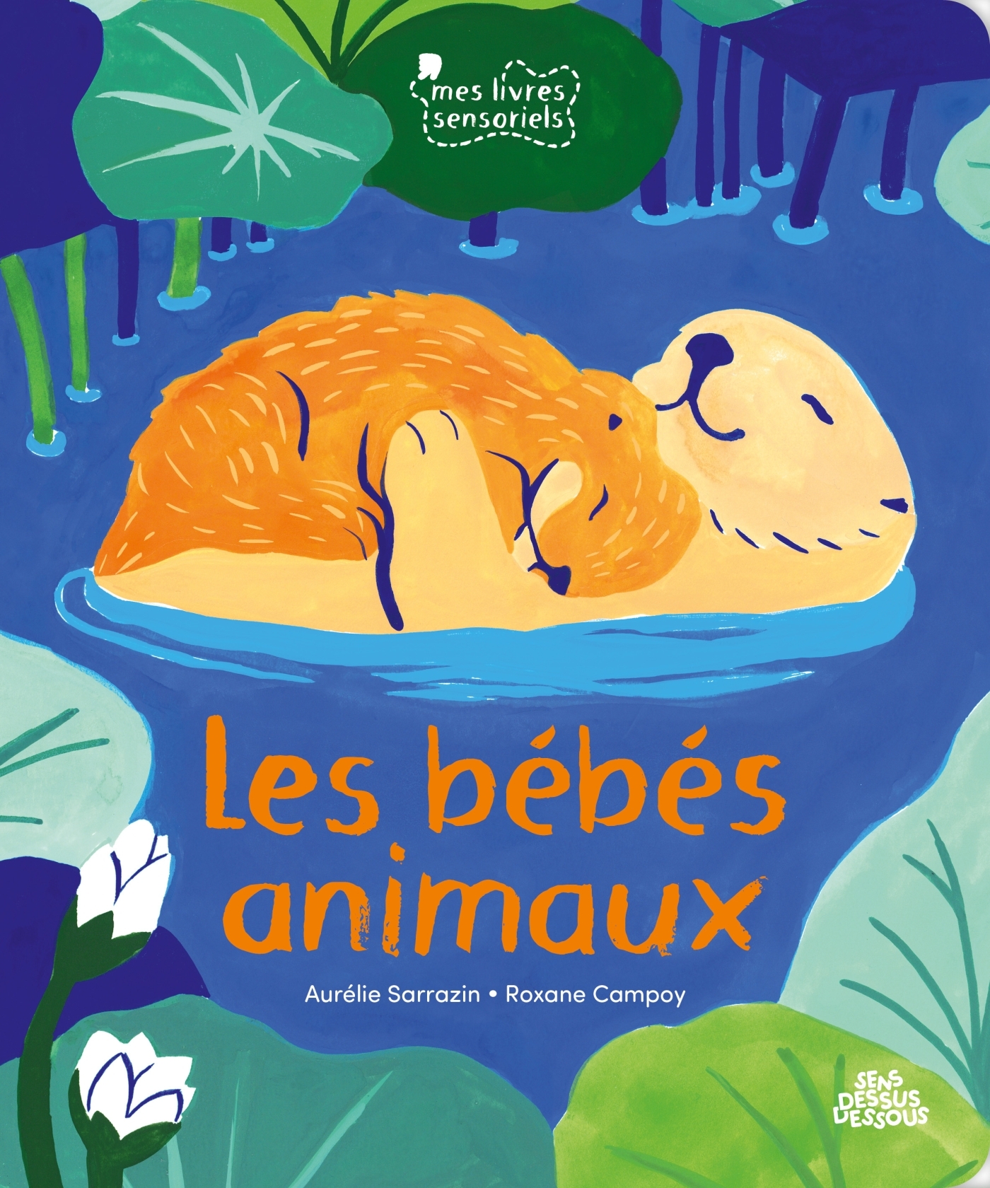 Bébés animaux - Aurélie Sarrazin - DESSUS DESSOUS