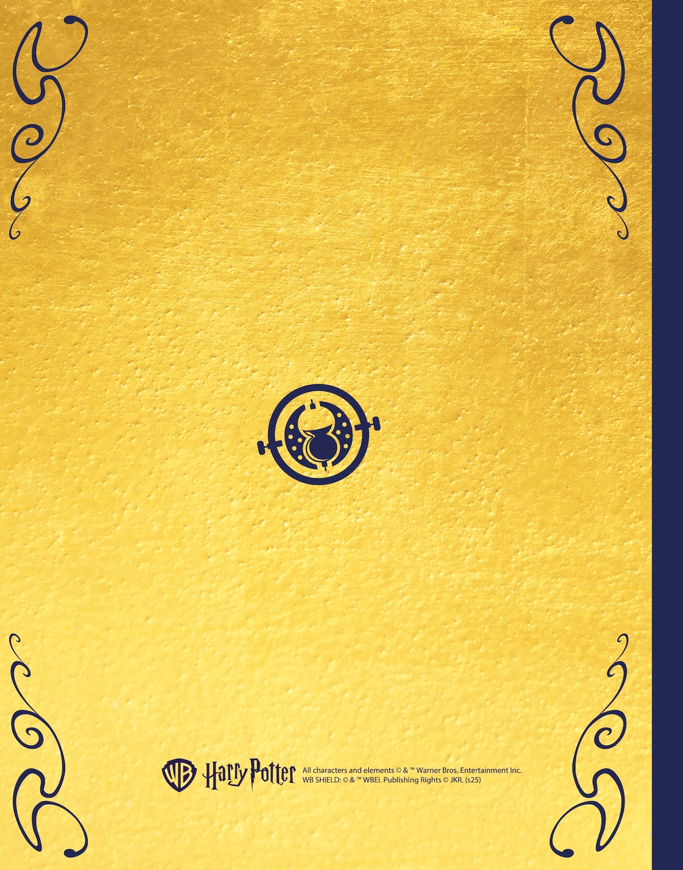 Harry Potter - Mon journal secret retourneur de temps pendentif -  Play Bac Éditions - PLAY BAC