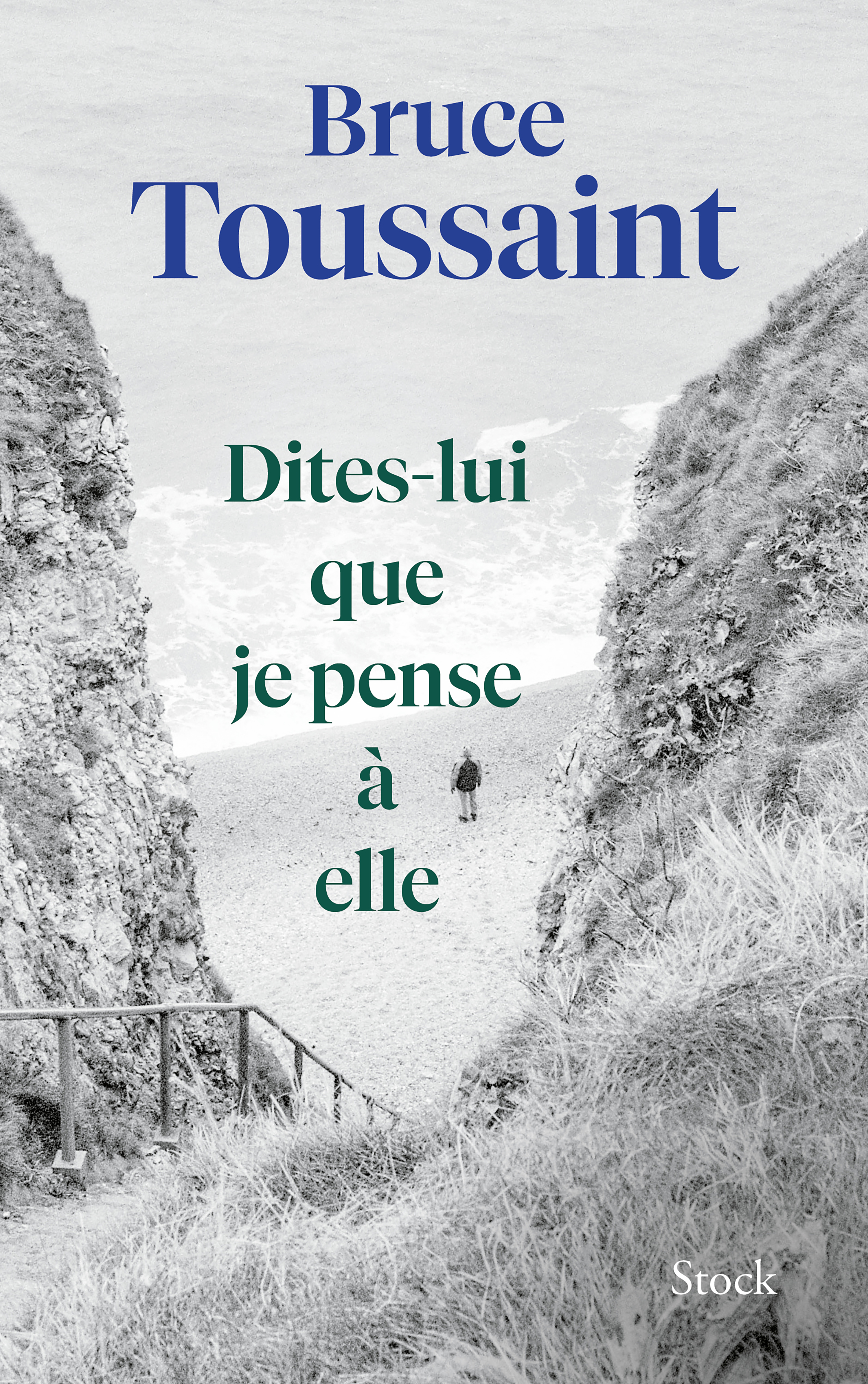 Dites-lui que je pense à elle - Bruce Toussaint - STOCK