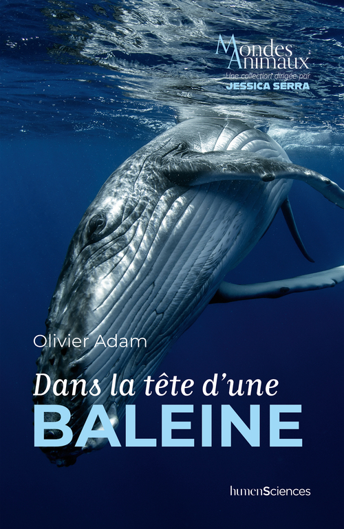 Dans la tête d'une baleine - Olivier Adam, Jessica Serra - HUMENSCIENCES