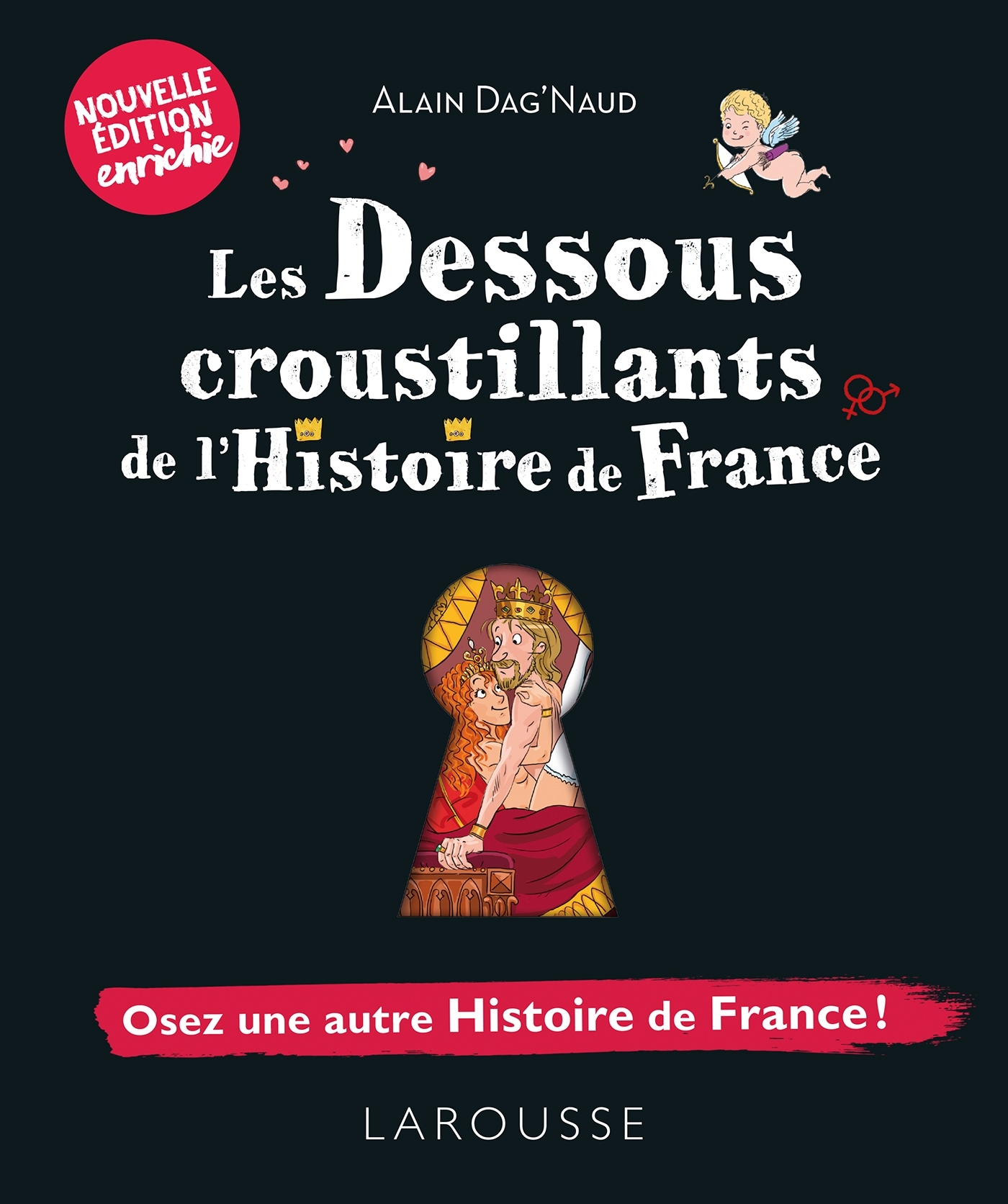 Les dessous croustillants de l'Histoire de France - Alain Dag'Naud - LAROUSSE