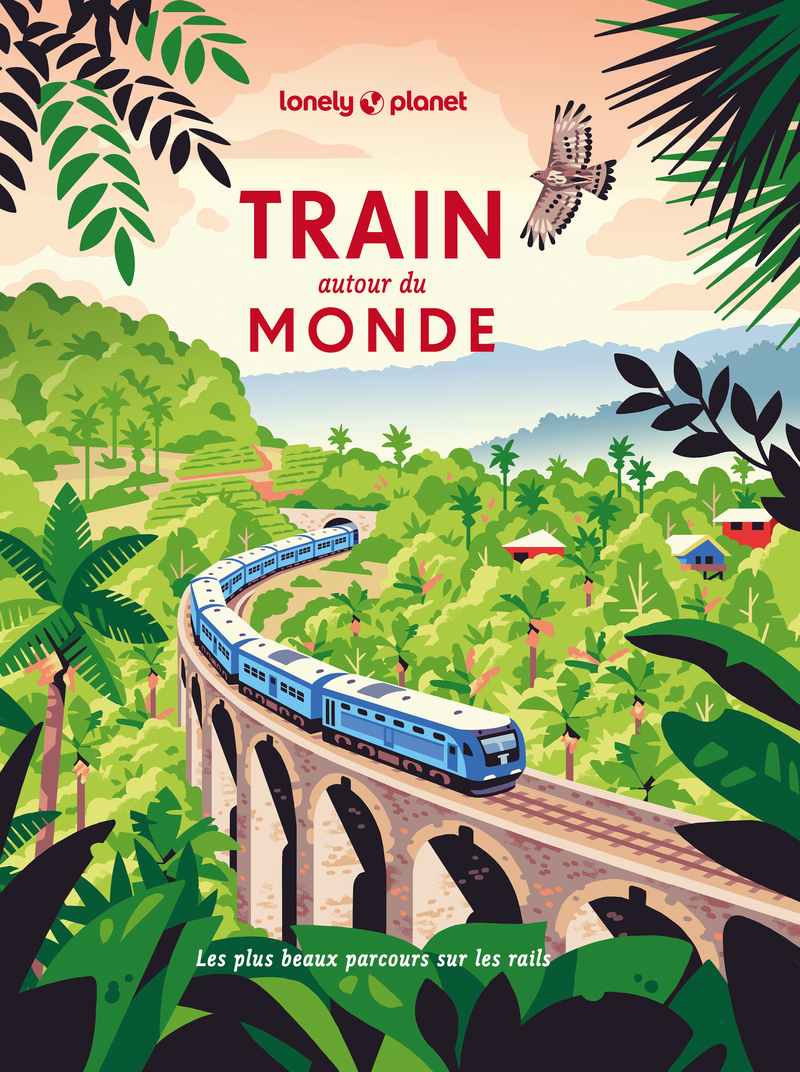 Train autour du monde - Les plus beaux itinéraires ferroviaires pour découvrir le monde -  Lonely Planet - LONELY PLANET