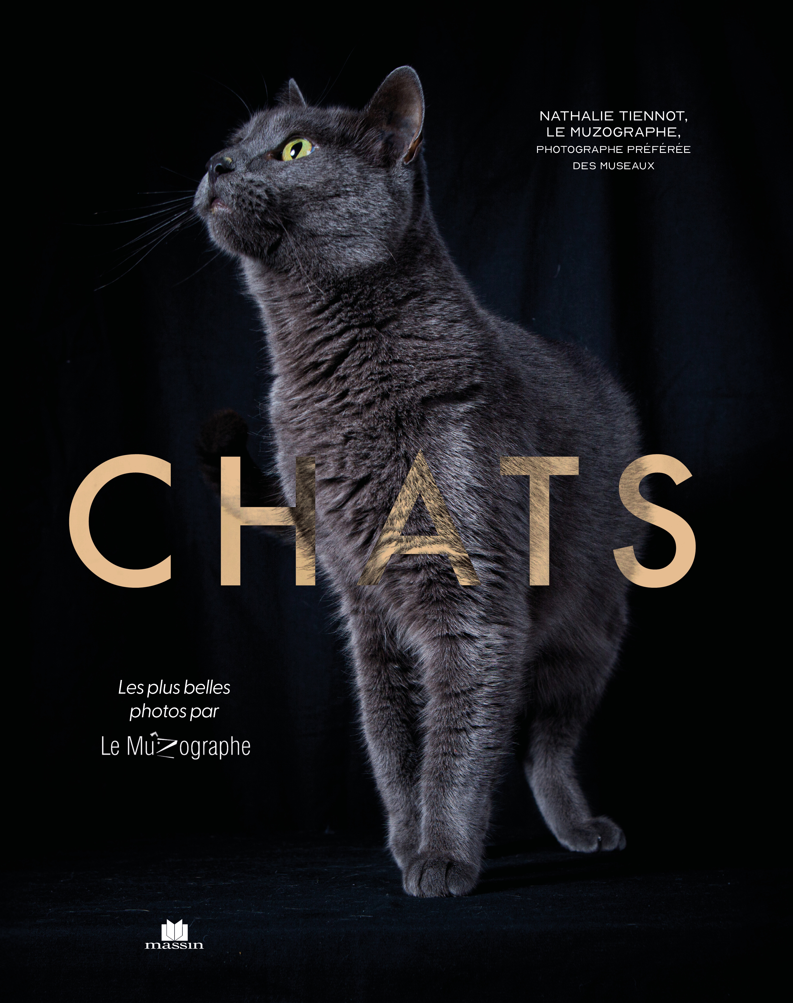 Chats - Nathalie Tiennot - CHARLES MASSIN