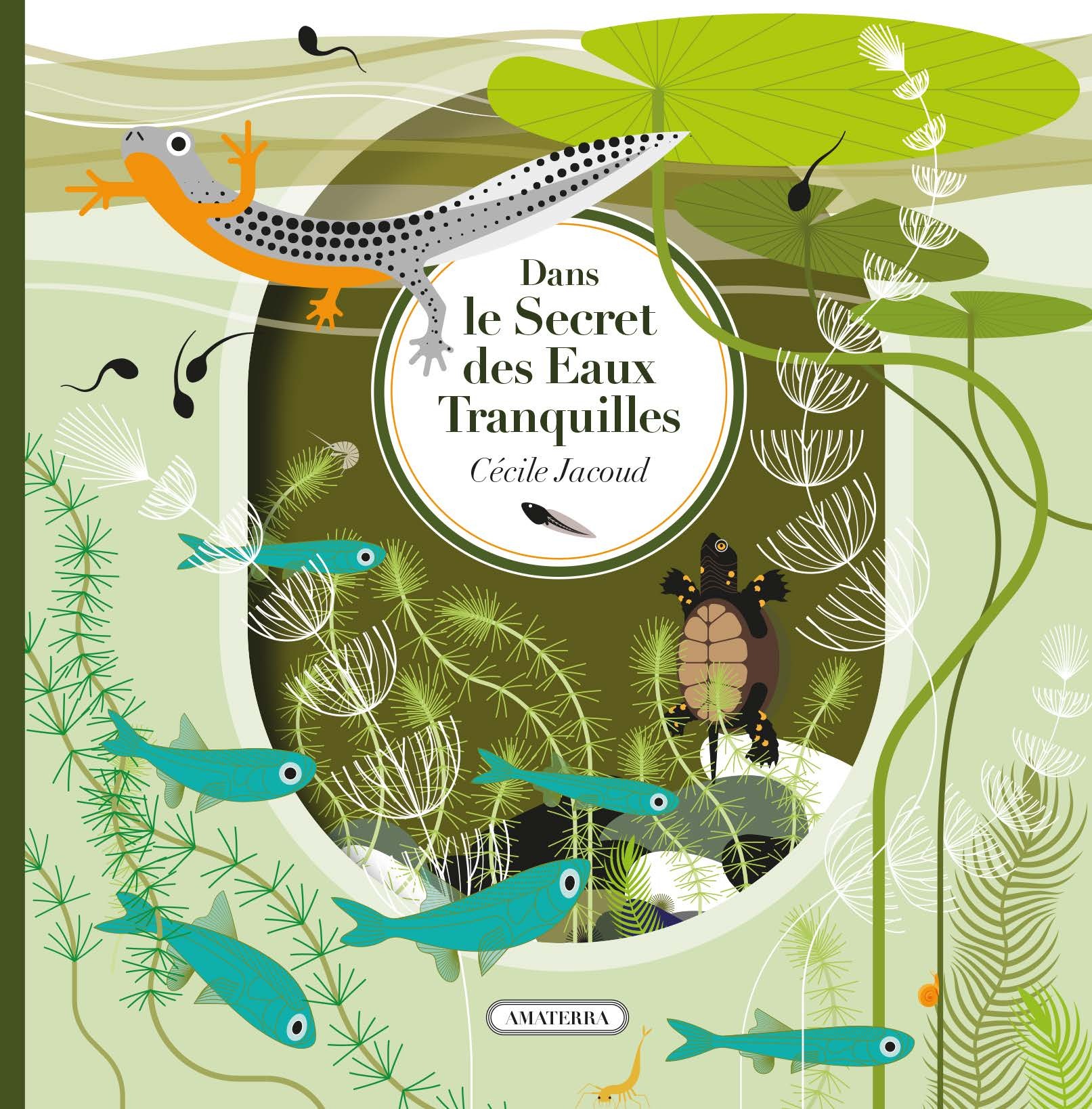 Dans le secret des eaux tranquilles -  - AMATERRA