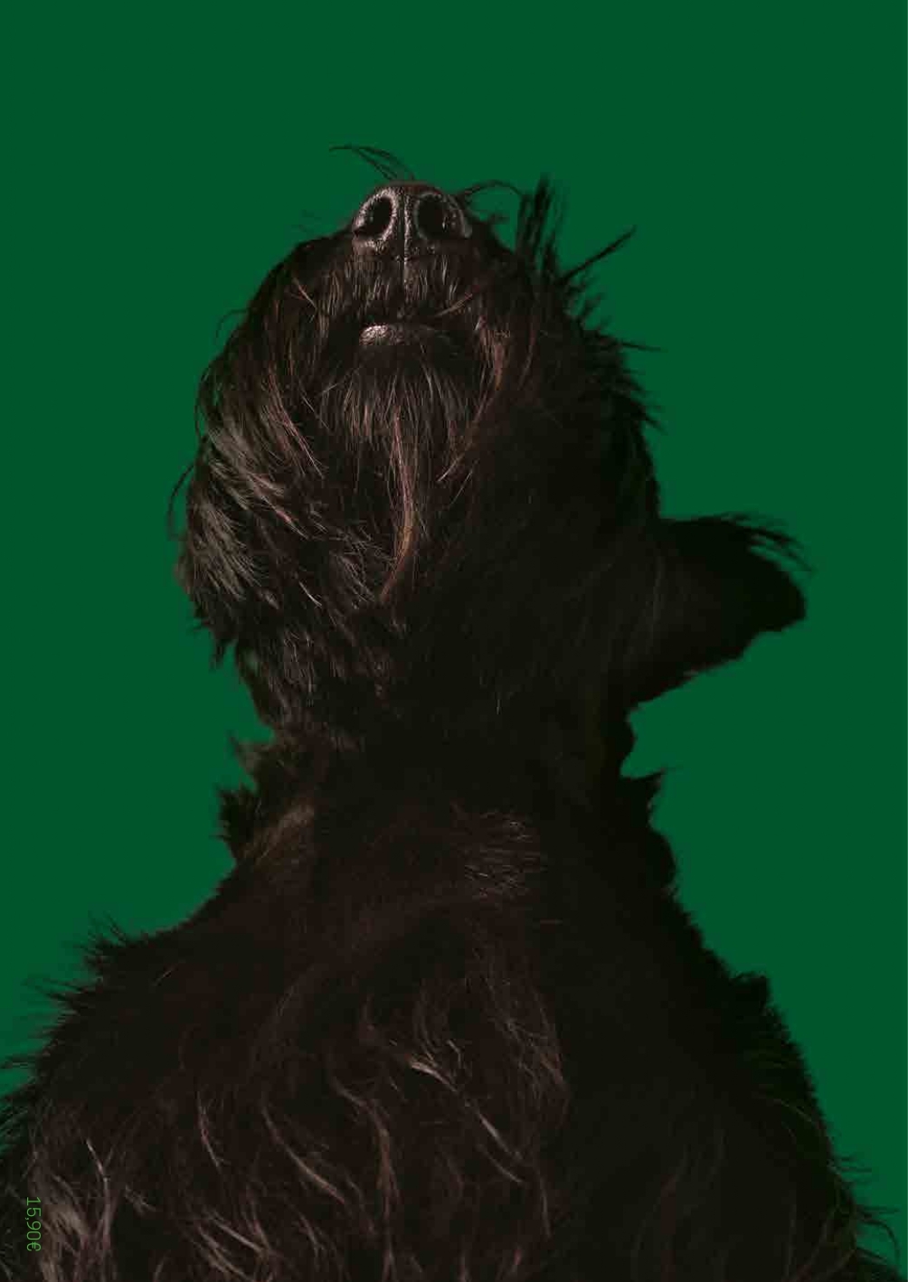 Bâtard N°11 - Décembre 2025 -  Collectif - DOG SOCIAL CLUB