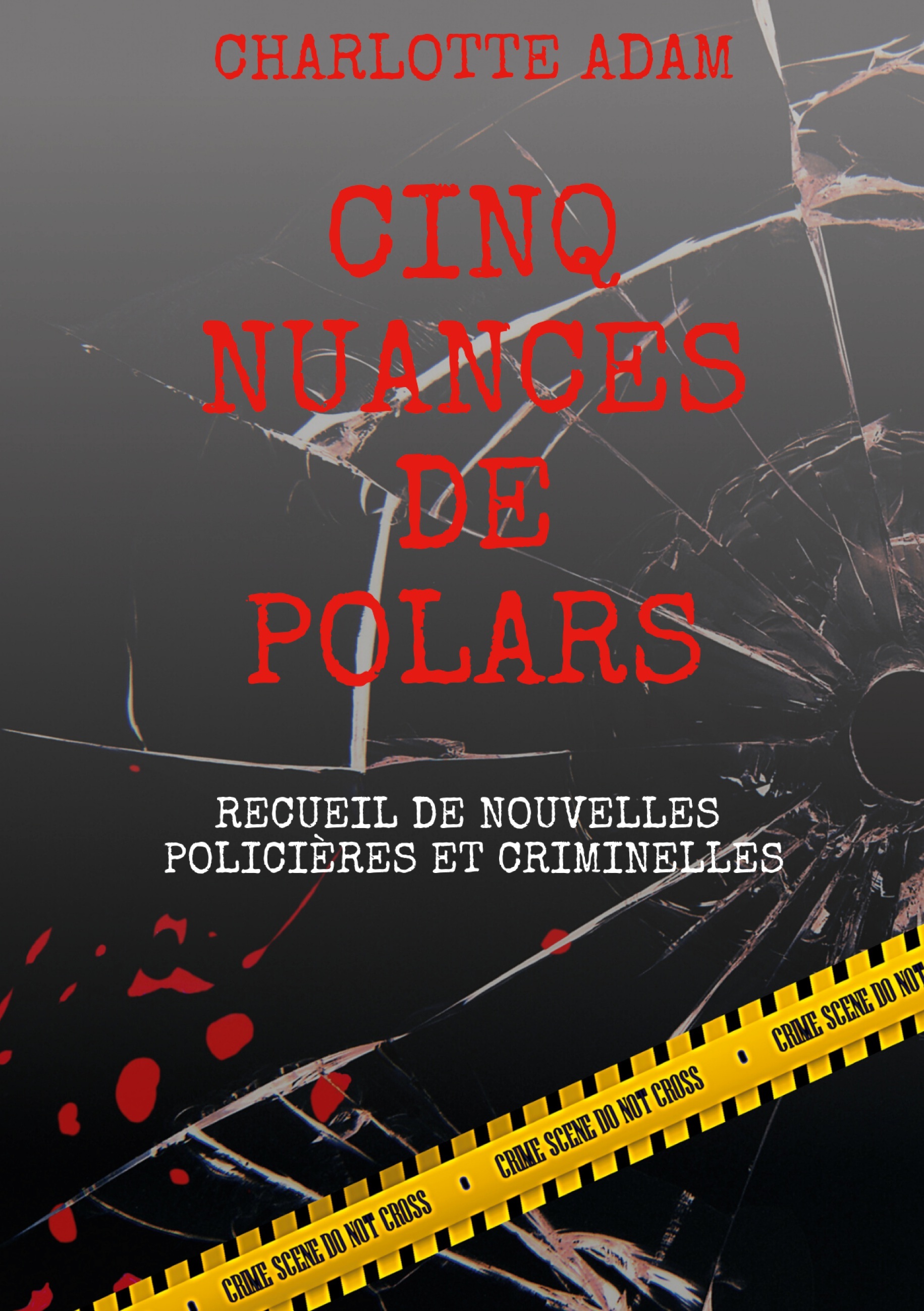 Cinq nuances de polars - Charlotte Adam - BOOKS ON DEMAND