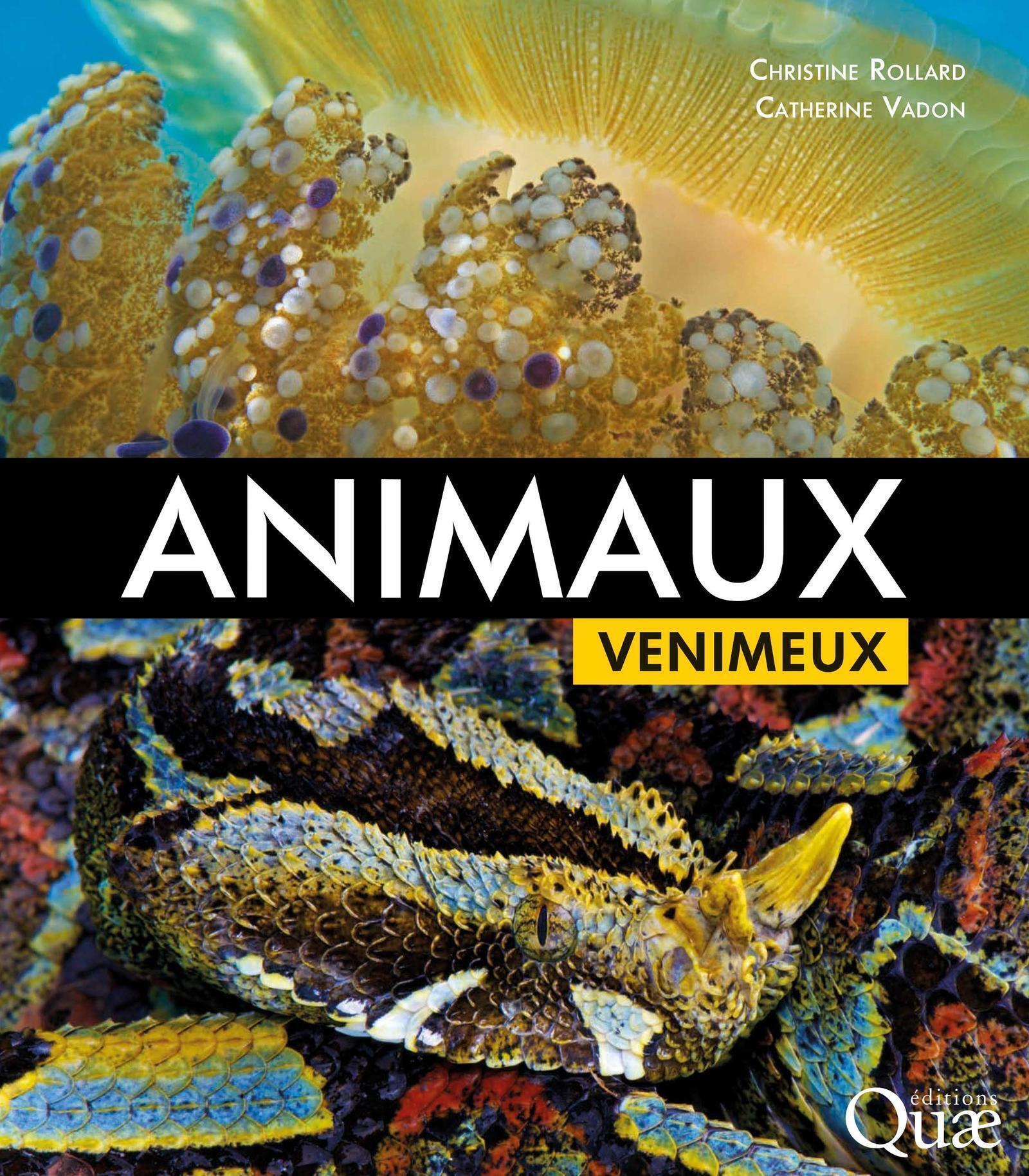 Animaux venimeux - Catherine Vadon, Christine Rollard - QUAE