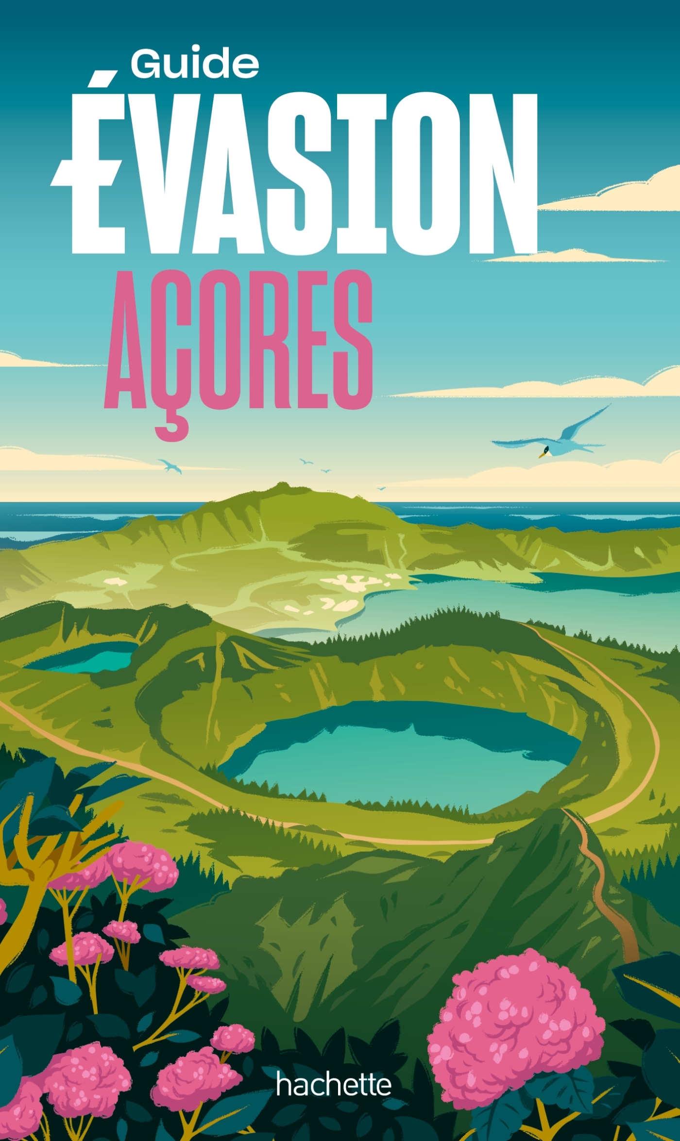Açores  Guide Evasion - ERICK ALEXANDERSON ROSAS,   - HACHETTE TOURI