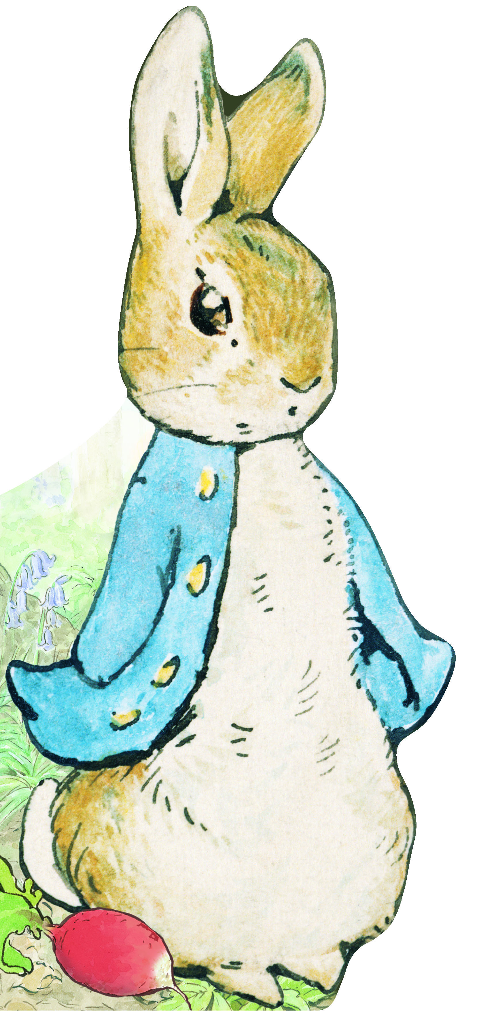 Bonjour, Pierre Lapin ! - Beatrix Potter - GALLIMARD JEUNE