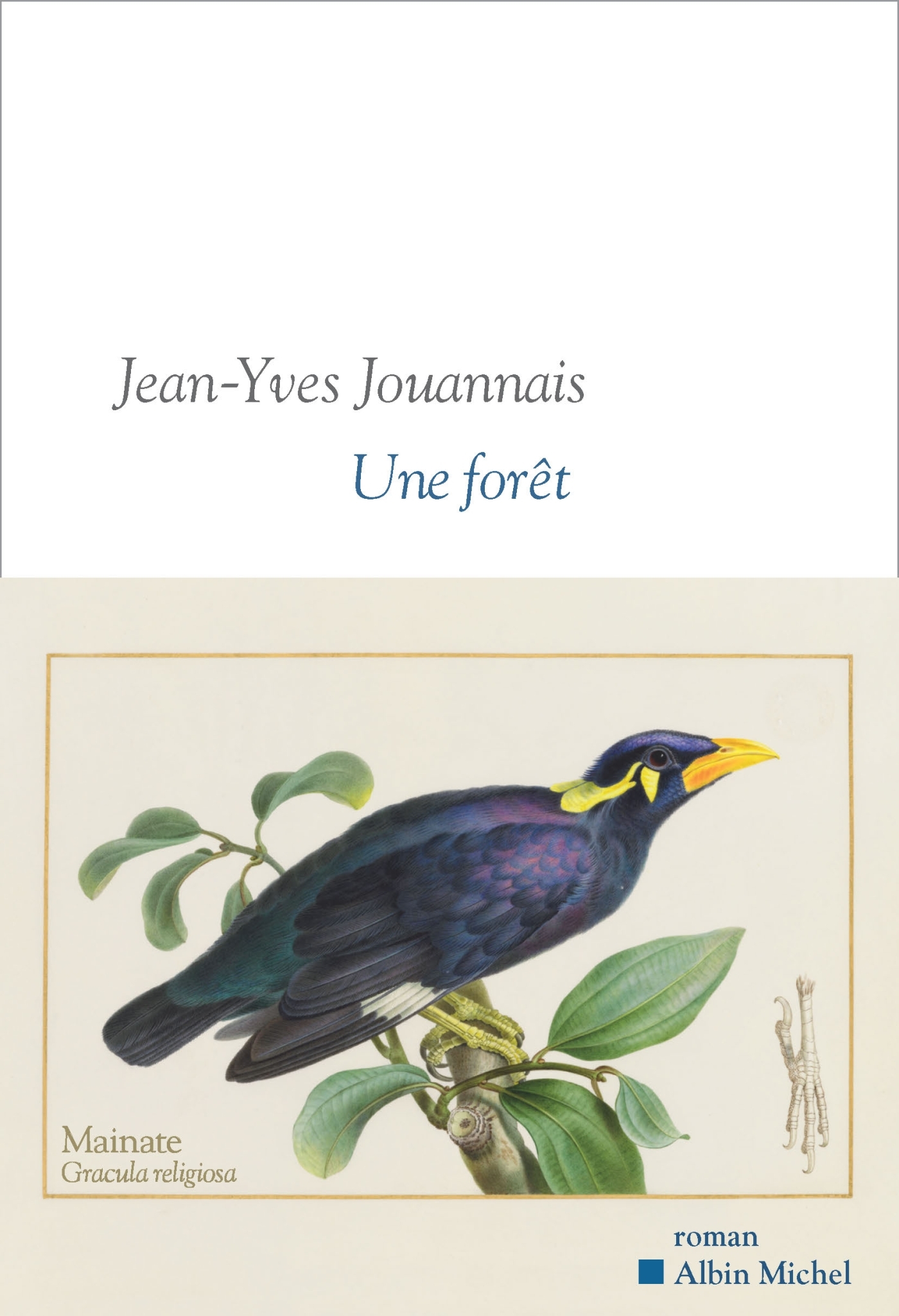 Une forêt - Jean-Yves Jouannais - ALBIN MICHEL