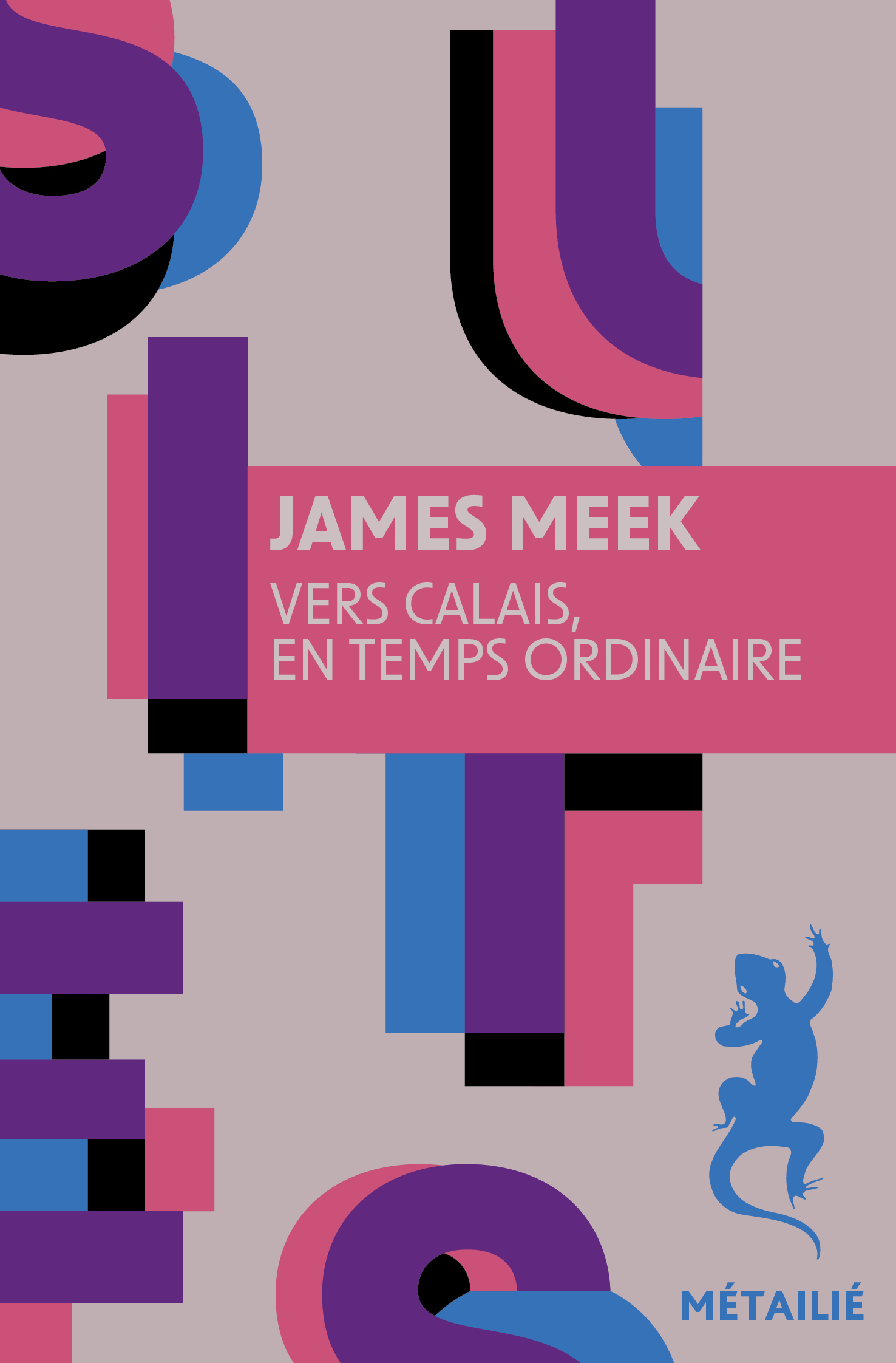 Vers Calais, en temps ordinaire - James Meek - METAILIE