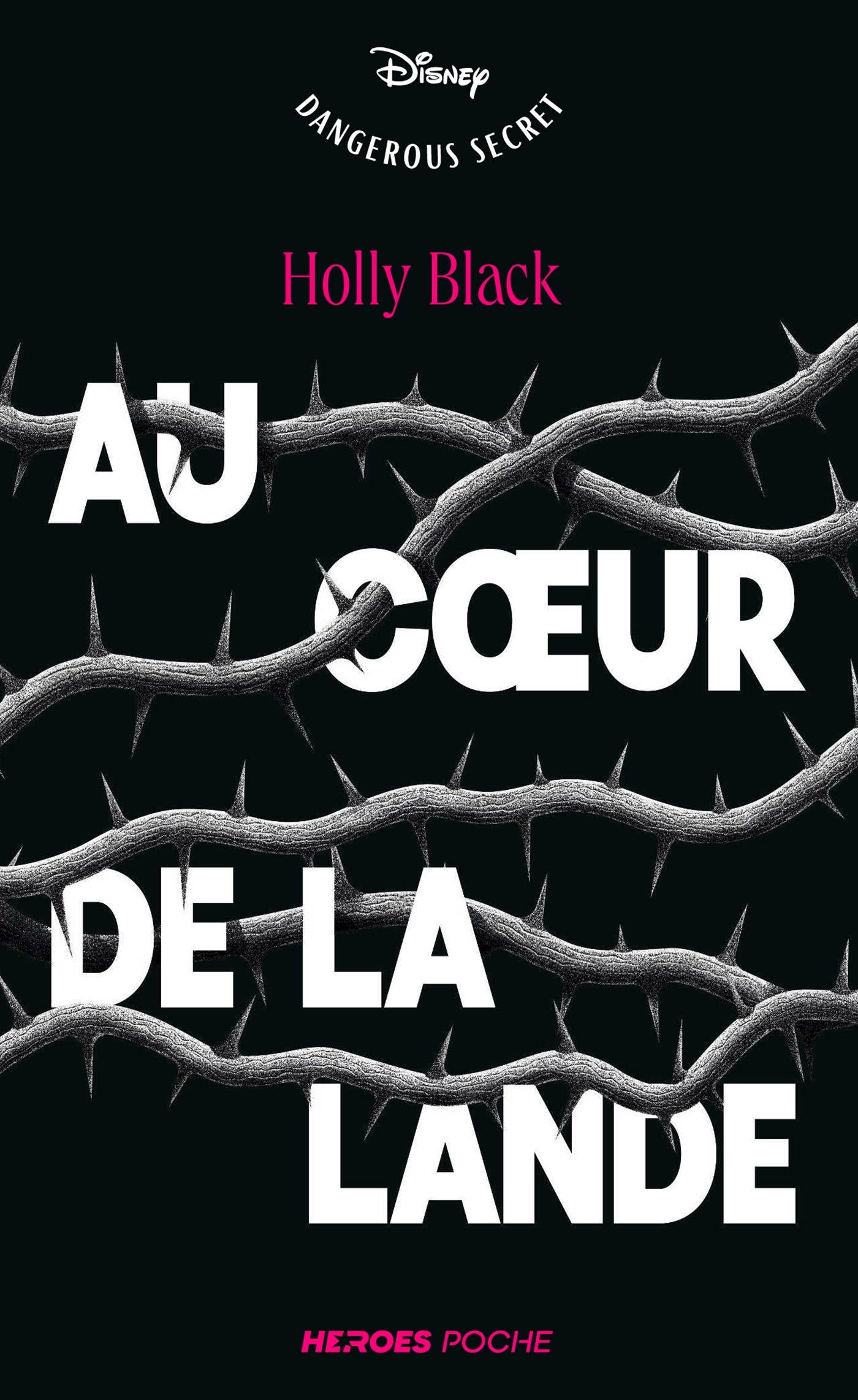 Au coeur de la lande - édition poche - Holly Black - HACHETTE HEROES