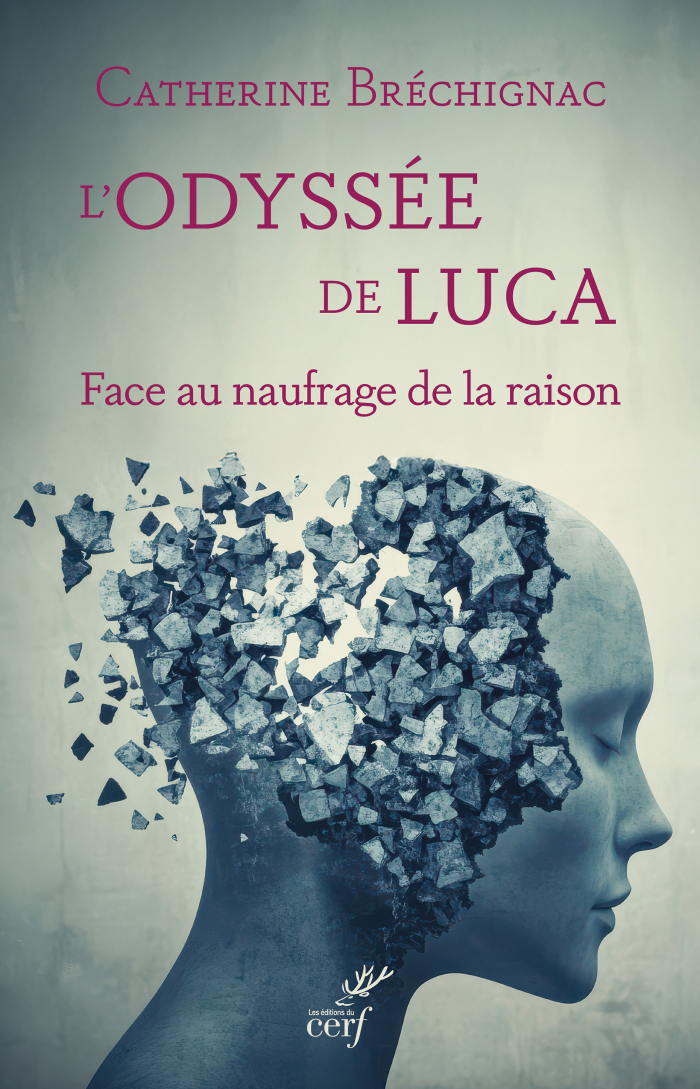 L'odyssée de Luca - Catherine Bréchignac - CERF