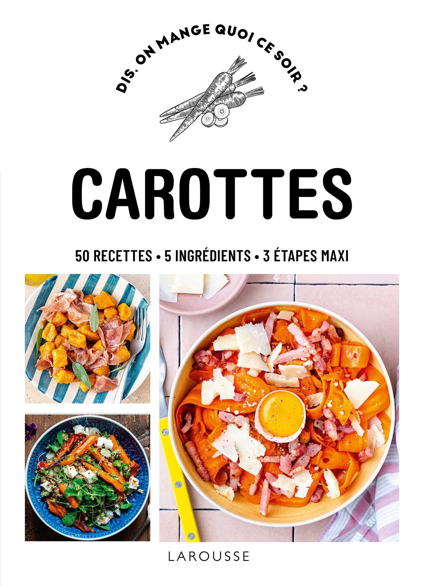 Carottes - Delphine Lebrun, Sophie Dumont - LAROUSSE