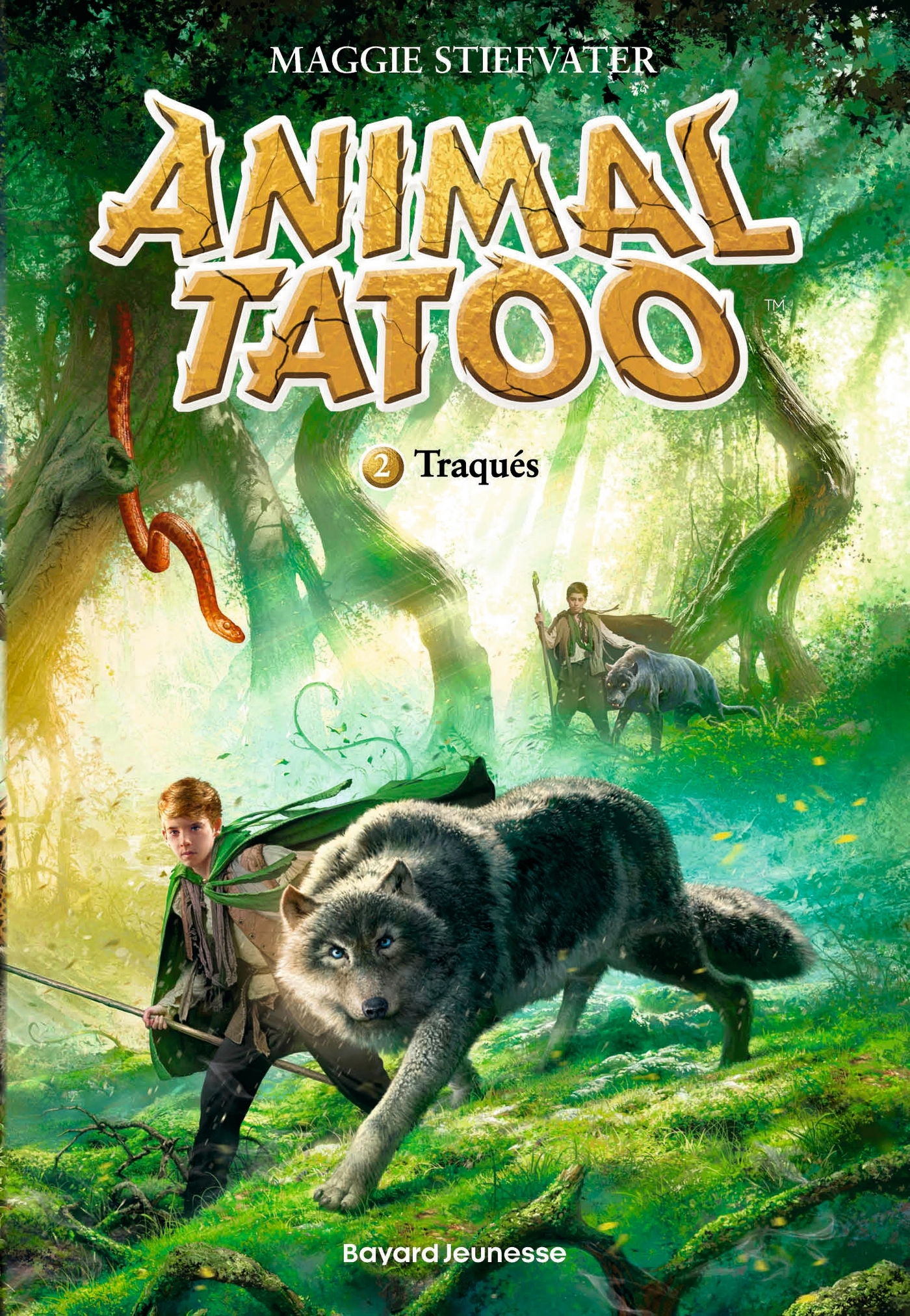Animal Tatoo poche saison 1, Tome 02 - Maggie Stiefvater - BAYARD JEUNESSE