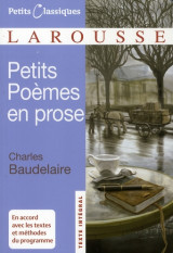 Petits poemes en prose