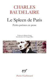 Le spleen de paris  -  petits poemes en prose