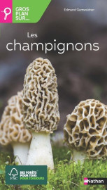 Gros plan sur : les champignons