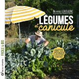 Legumes et canicule - adapter le potager au rechauffement climatique