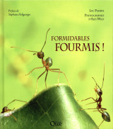 Formidables fourmis !
