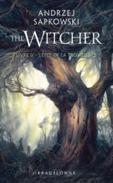 The witcher (le sorceleur) tome 2 : l'epee de la providence