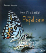 Dans l'intimite des papillons