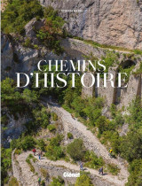 Chemins d'histoire : compostelle, stevenson, via francigena, tro breiz...