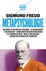 Metapsychologie