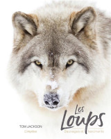 Les loups  -  sauvages et fascinants