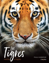 Les tigres - feroces et fragiles