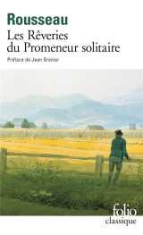 Les reveries du promeneur solitaire