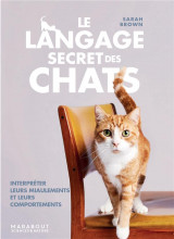 Le langage secret des chats : interpreter leurs miaulements et leurs comportements